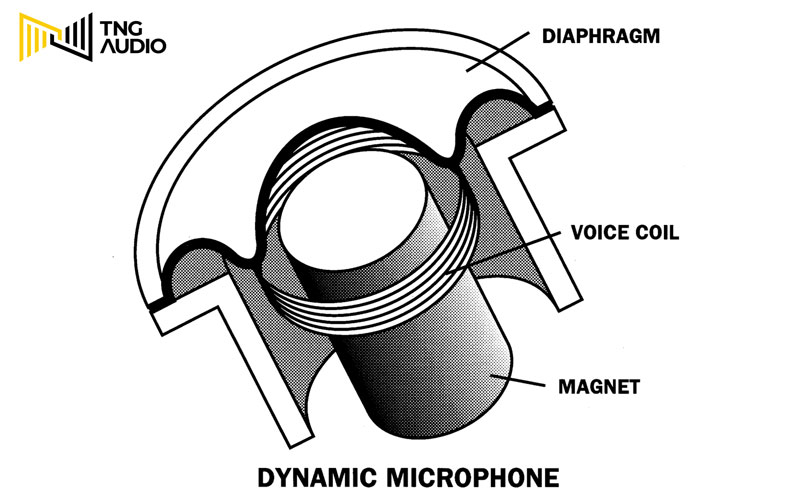Dynamic microphone