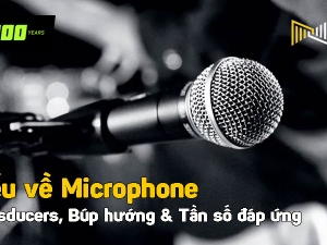 Kiến thức cơ bản về micro: Transducers, Búp hướng và Tần số đáp ứng