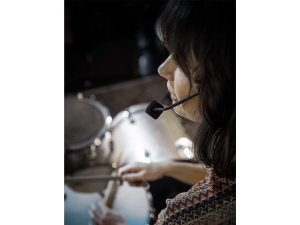 SHURE PGA31