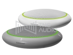 Shure MXA310