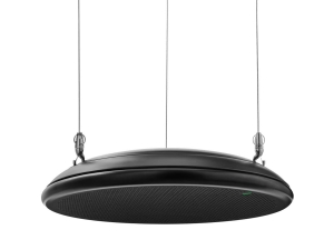 SHURE MXA901