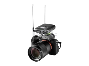 SHURE SLXD5